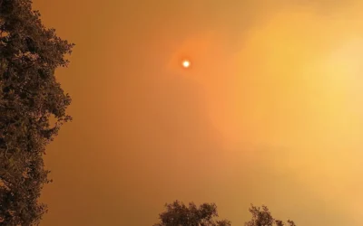 Is It Safe to Travel to Spain This Fall? What the Fires and Earthquakes Actually Mean
