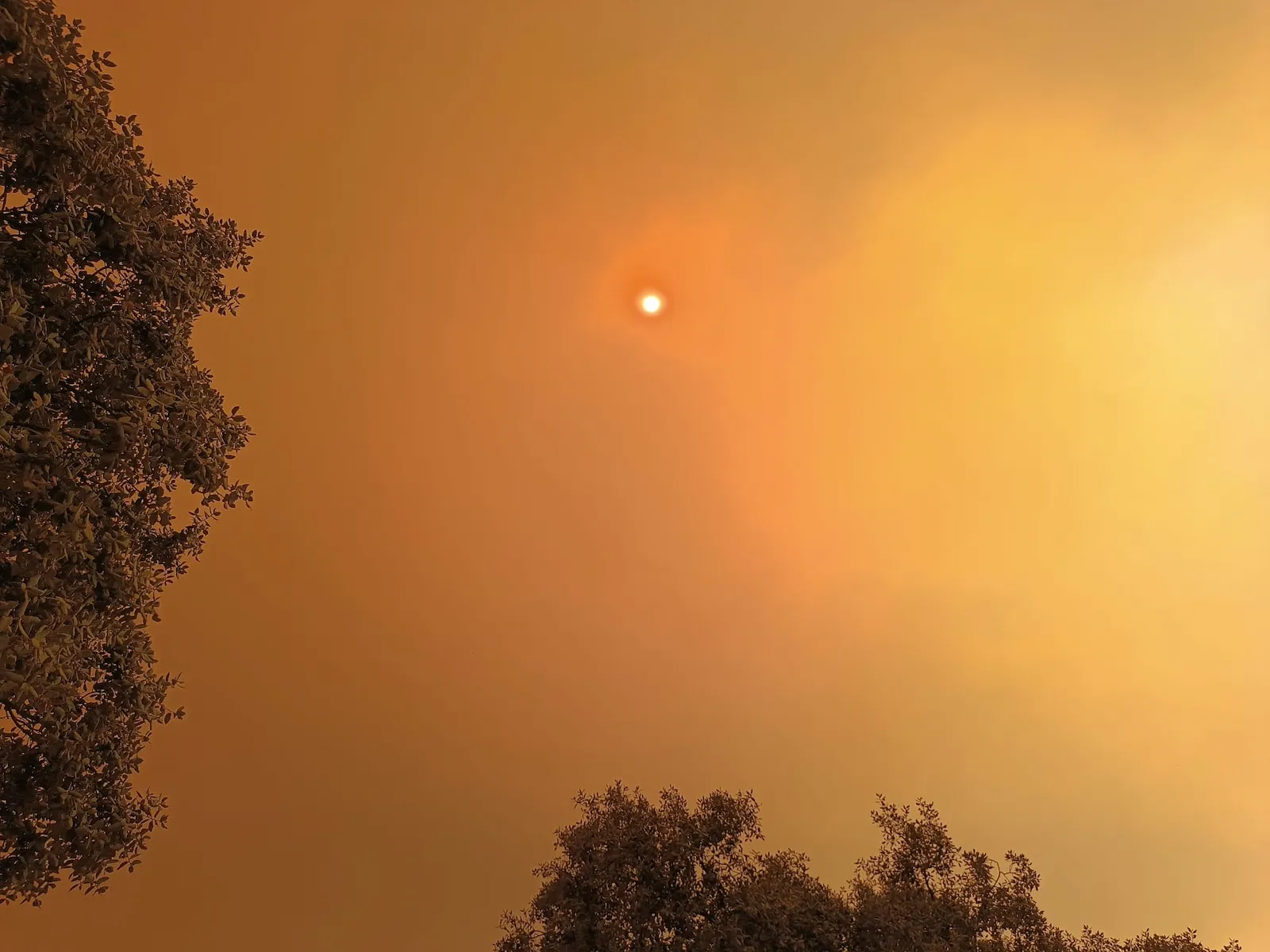 Sun obscured by wildfire smoke over the Madrid Sierra, July 2026